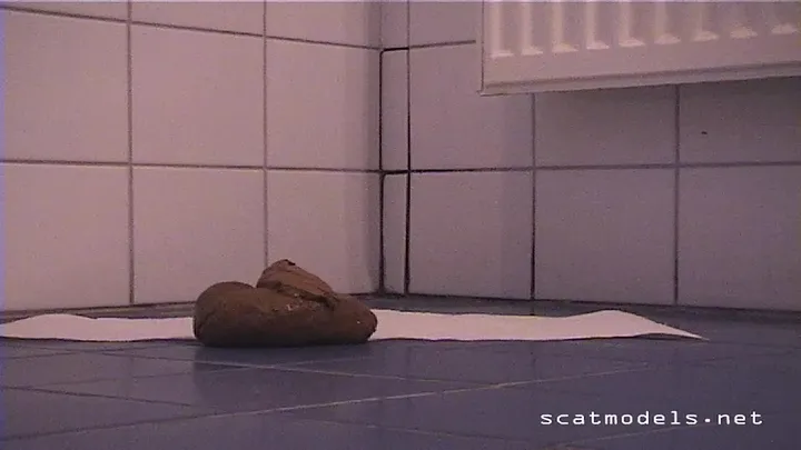 Quick and Messy Solo Scat Teaser with Natural Amateur Action - scat - scat porn video at ScatVip.com